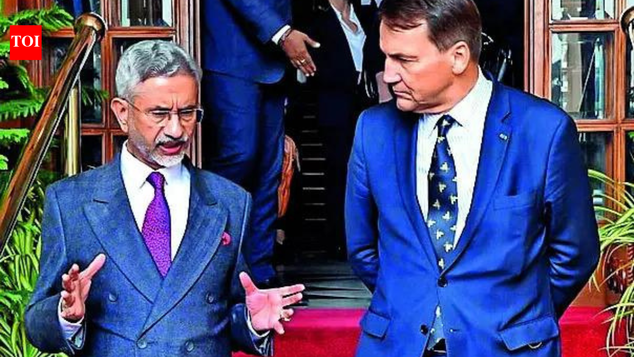 जैसा कि पोलैंड ने पाकिस्तान को अदालत में पेश किया, भारत ने आतंकवाद के प्रति शून्य सहिष्णुता की सिफारिश की | भारत समाचार