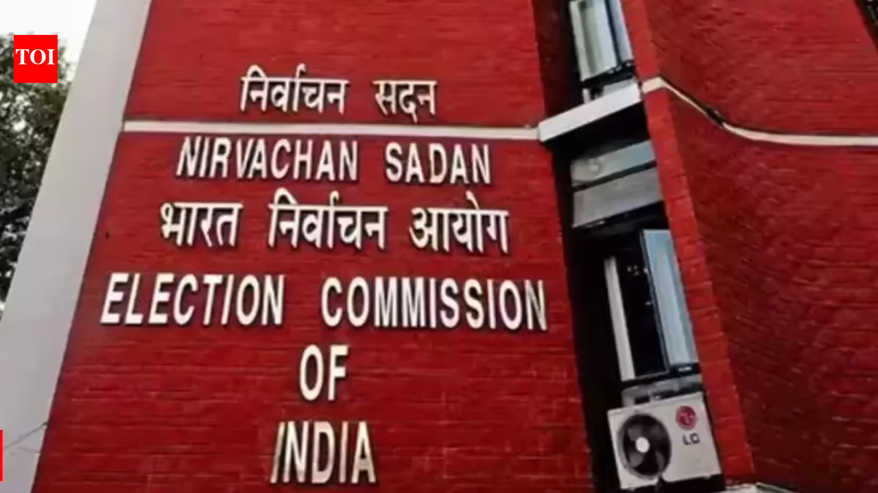 मुर्शिदाबाद बीडीओ कार्यालय में तोड़फोड़: EC ने टीएमसी विधायक मोनिरुल इस्लाम के खिलाफ FIR का आदेश दिया; चुनावी सेवा में बाधा का हवाला दिया | भारत समाचार