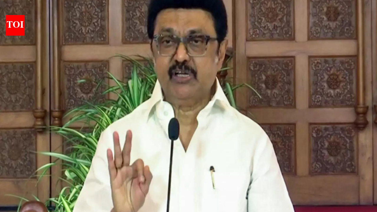 ‘पार्टी एजेंटों के रूप में कार्य’: स्टालिन राज्यपाल के भाषण को खत्म करना चाहते हैं; ‘समान विचारधारा वाले विपक्षी दलों’ से परामर्श करना | भारत समाचार