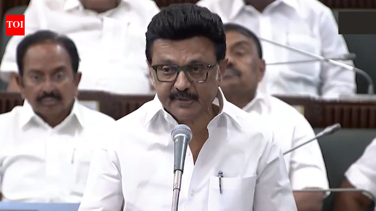 ‘देशभक्ति में वह किसी से कम नहीं’: स्टालिन ने तमिलनाडु के राज्यपाल रवि पर बोला हमला, कहा- किसी को हमें सिखाने की जरूरत नहीं | भारत समाचार