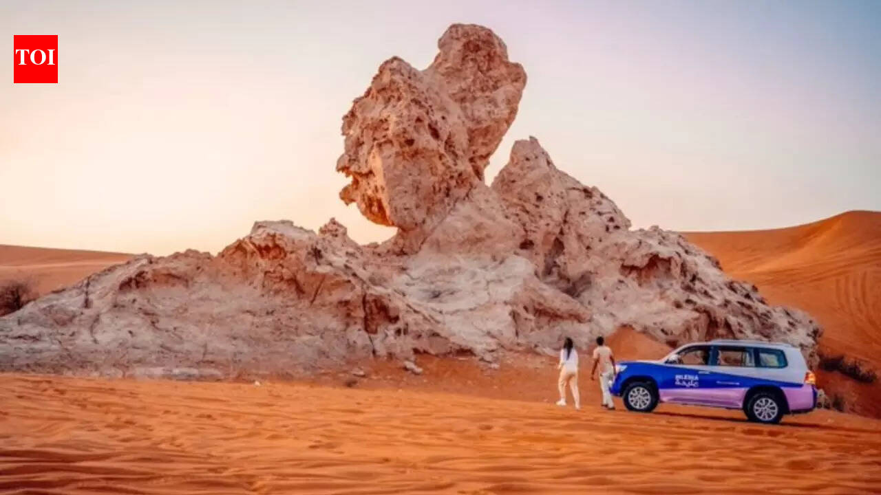 रेगिस्तान की सप्ताहांत यात्रा? शारजाह ने बिना अनुमति के म्लेइहा राष्ट्रीय उद्यान पर कार्रवाई की, भारी जुर्माना लगाया