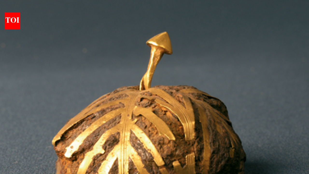 स्पेन का यह 3,000 साल पुराना खजाना आसमान से गिरे लोहे से बनाया गया था | विश्व समाचार