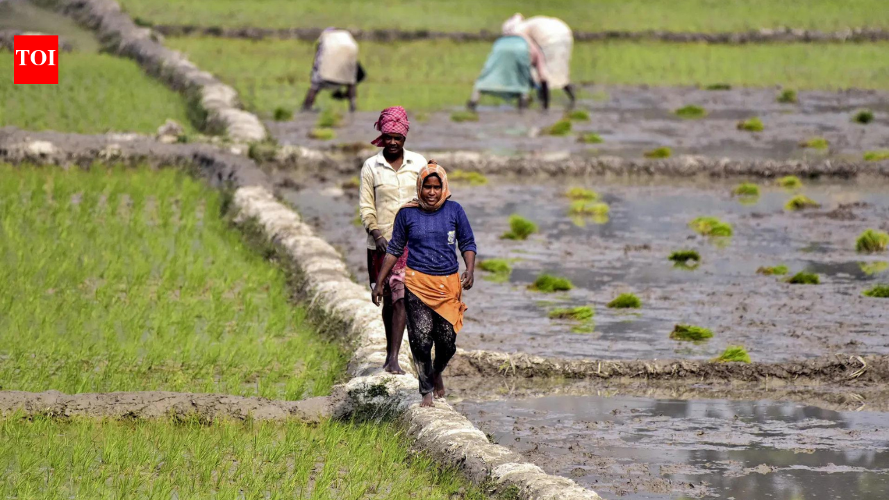 कृषि वैज्ञानिकों और नवोन्मेषी किसानों को उनके अग्रणी प्रयासों के लिए पद्मश्री से प्रोत्साहन मिलता है | भारत समाचार