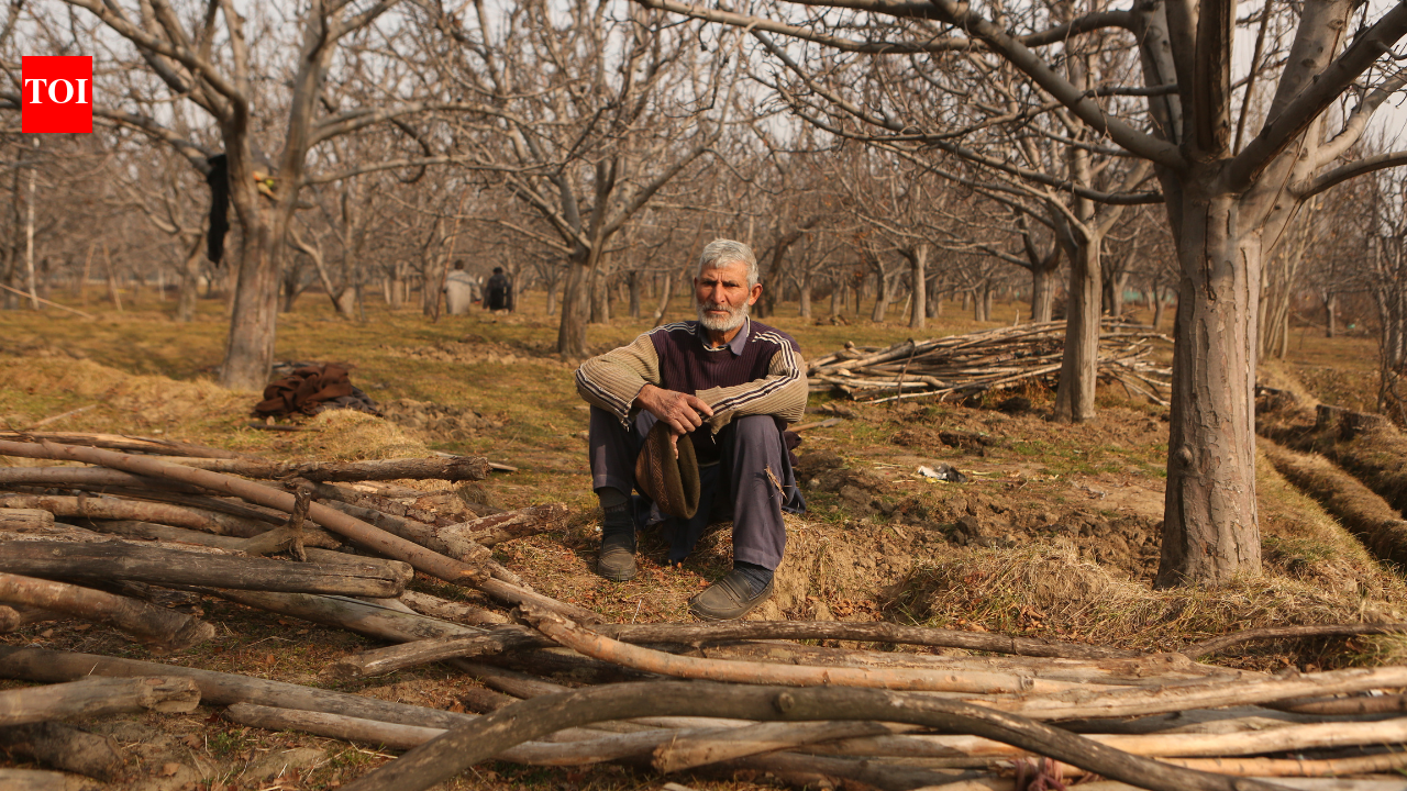 पहलगाम के लिए ट्रेन को विरोध का सामना करना पड़ा; नॉर्थ कैरोलिना और पीडीपी ने रेल मंत्री से पुनर्विचार करने को कहा | भारत समाचार