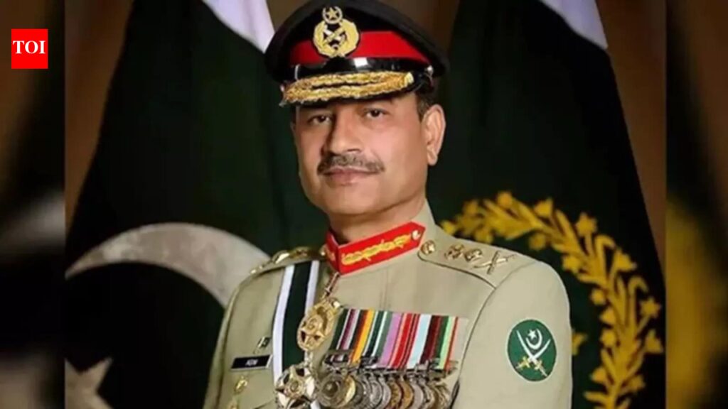 ‘अपने संवैधानिक तख्तापलट का आत्मनिरीक्षण करें’: असीम मुनीर की आजीवन छूट को लेकर भारत ने पाकिस्तान पर निशाना साधा | भारत समाचार