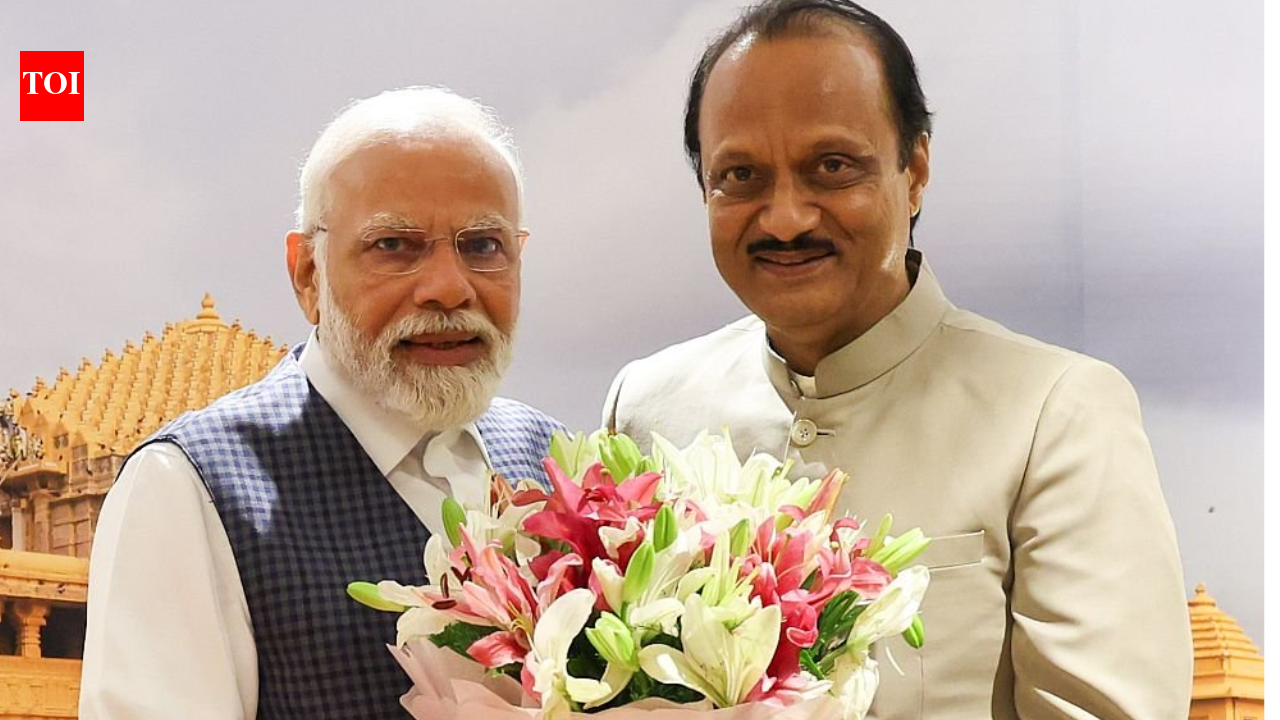 ‘जनता के नेता’: पीएम मोदी ने अजित पवार के निधन पर शोक जताया और उनके समर्पण को याद किया | भारत समाचार