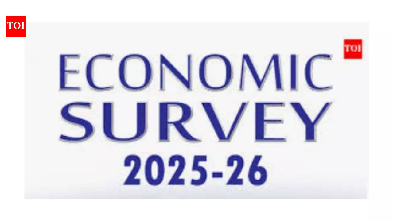 सर्वेक्षण: भारत लचीला है, लेकिन निजी क्षेत्र को आगे आना होगा