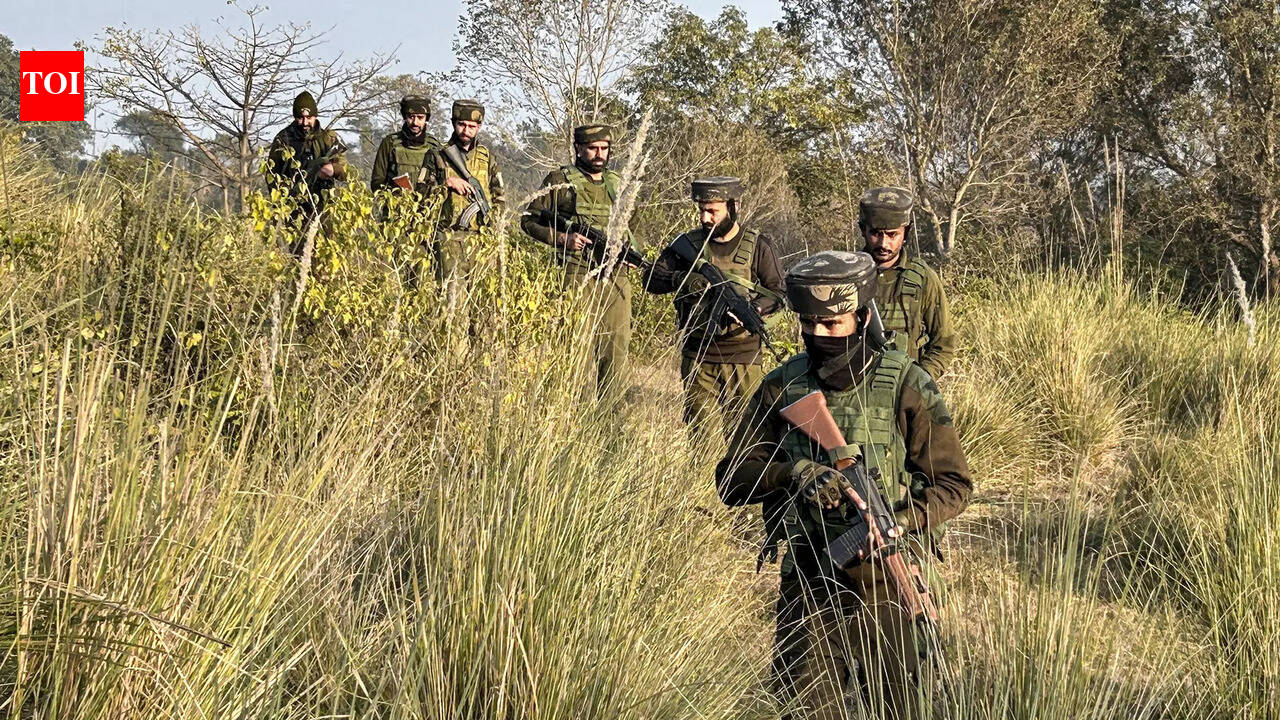 सांबा में दो संदिग्ध गिरफ्तार; उधमपुर में तलाश शुरू | भारत समाचार