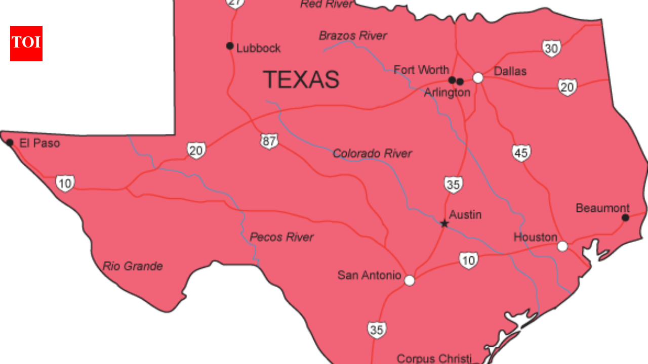 ‘सभी भारतीयों को निर्वासित करने के और भी कारण’: टेक्सास में हार पर फ्लोरिडा रिपब्लिकन नेता ‘भारतीय वोटिंग ब्लॉक के कारण’