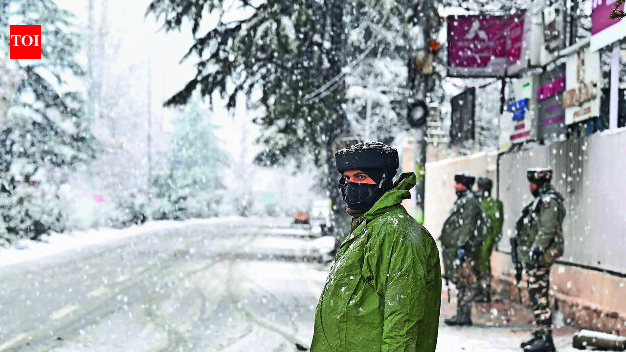 जम्मू-कश्मीर ऑपरेशन में जैश के वरिष्ठ एजेंट समेत 3 की गोली मारकर हत्या | भारत समाचार