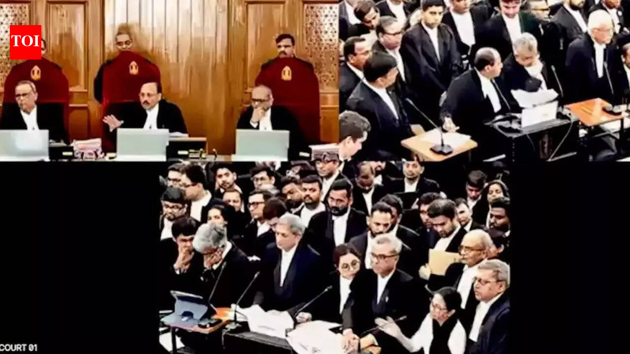 ‘मुझे अनुमति दें सर’: ममता ने सुप्रीम कोर्ट में एसआईआर के खिलाफ दलील दी | भारत समाचार