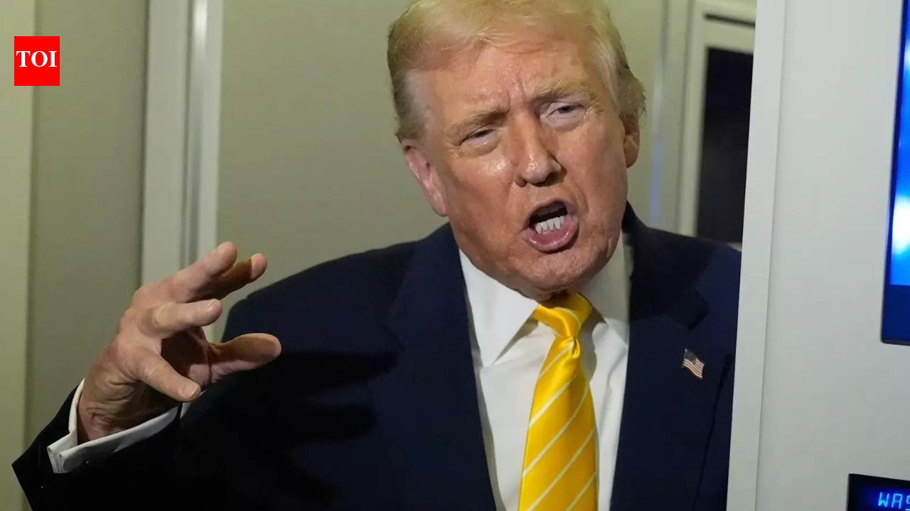 ‘मैं आप्रवासन पर नरम रुख अपना सकता हूं’: मिनियापोलिस गोलीबारी में दो लोगों की मौत के बाद डोनाल्ड ट्रंप ने कहा; ‘ICE भी खुश नहीं था’