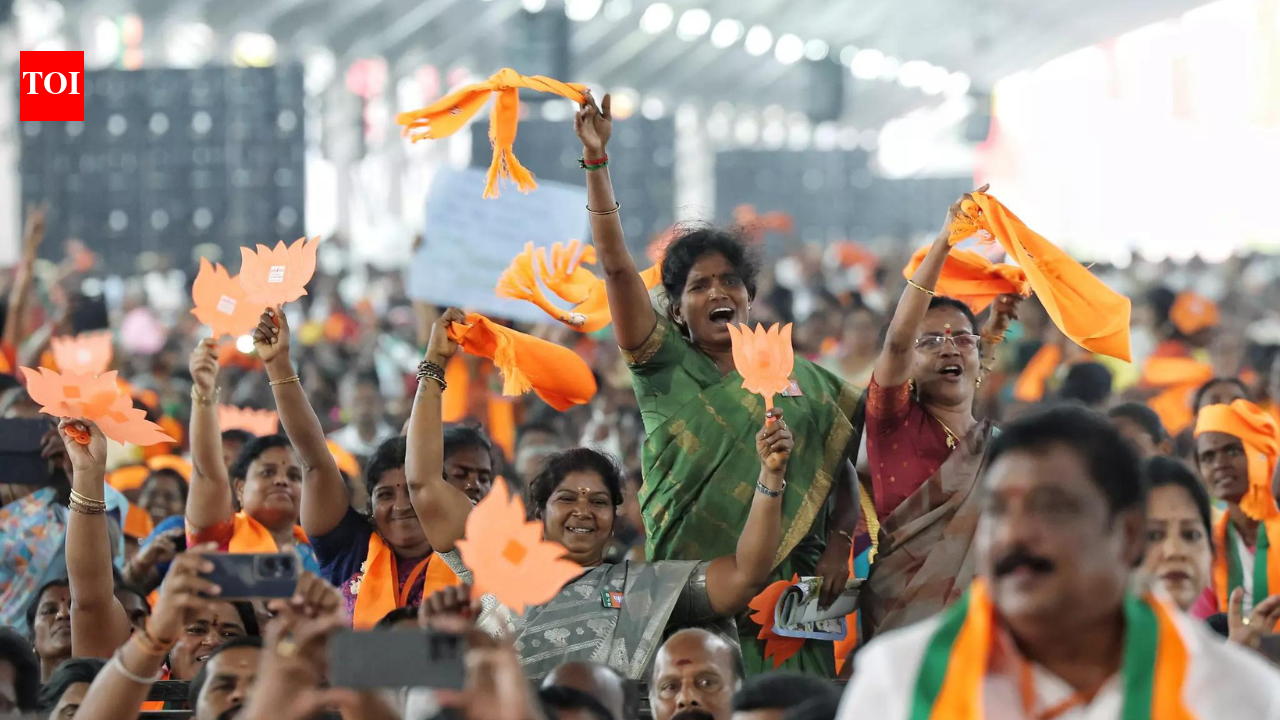 तमिलनाडु चुनाव: बीजेपी राज्य में कैसा बिहार बनाने की योजना बना रही है? क्या यह पर्याप्त होगा? | भारत समाचार