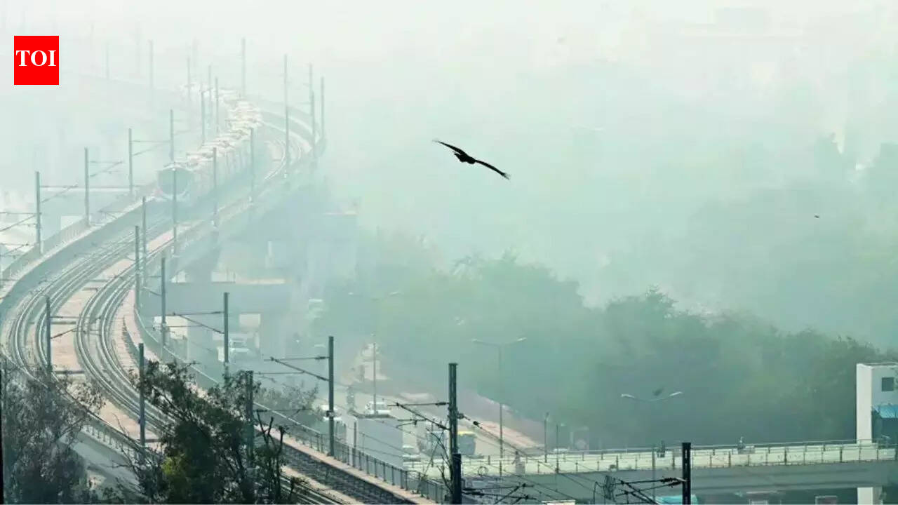 भारत में सबसे खराब हवा? यहां कोई आश्चर्य नहीं: गाजियाबाद आगे, दिल्ली और नोएडा पीछे | दिल्ली समाचार