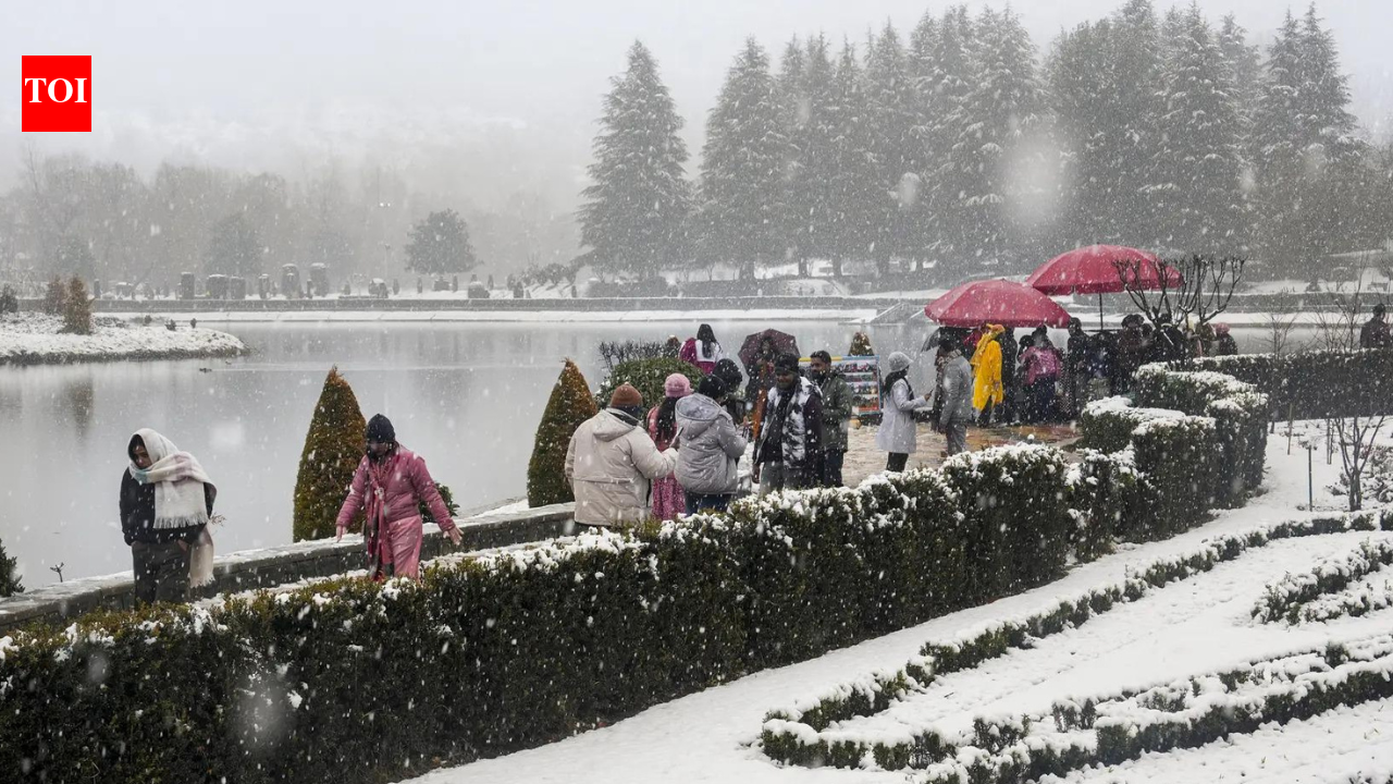 2025 में 36,000 विदेशियों सहित 17 लाख से अधिक पर्यटकों ने जम्मू-कश्मीर का दौरा किया: सरकार | भारत समाचार