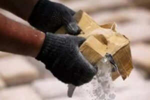 जम्मू-कश्मीर के कठुआ में ड्रोन से गिराई गई हेरोइन जब्त, पाकिस्तान से संबंध के आरोप में दो गिरफ्तार | भारत समाचार