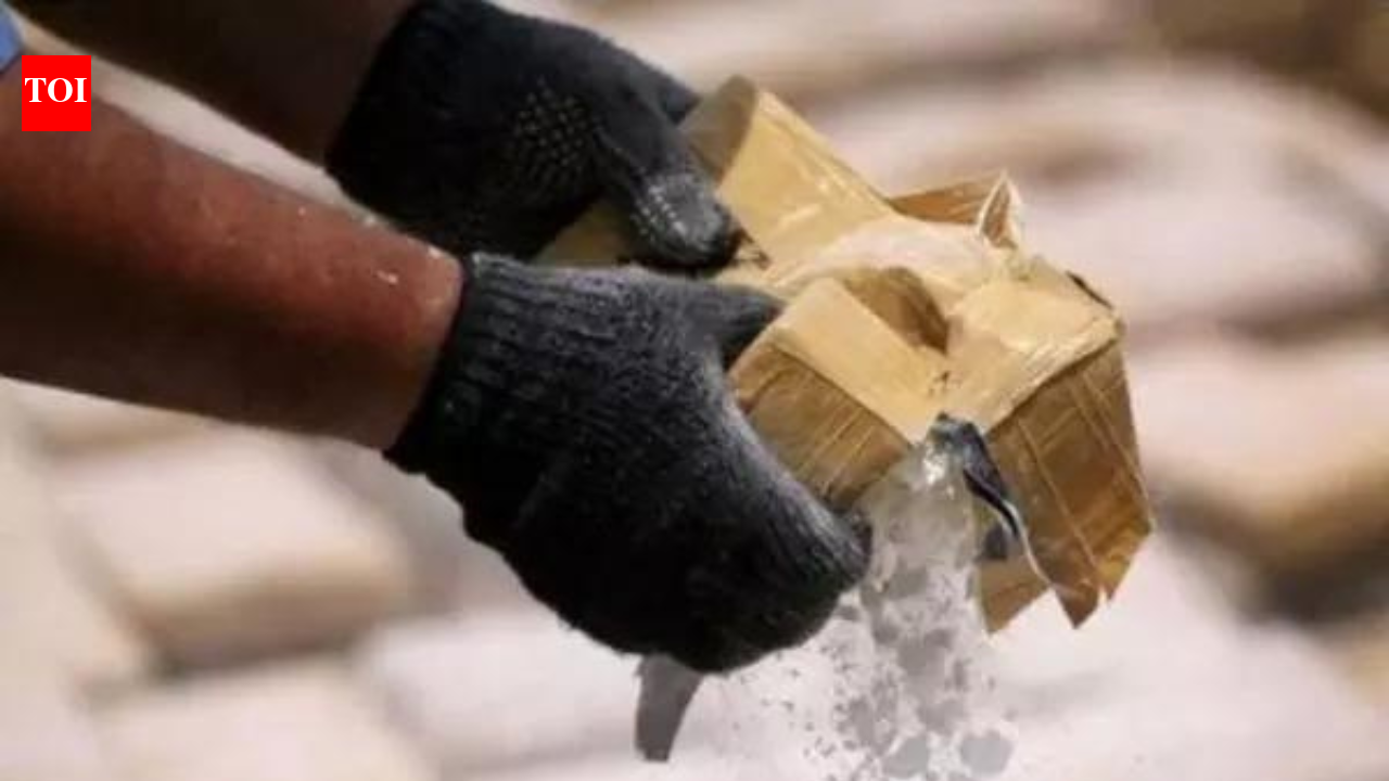 जम्मू-कश्मीर के कठुआ में ड्रोन से गिराई गई हेरोइन जब्त, पाकिस्तान से संबंध के आरोप में दो गिरफ्तार | भारत समाचार