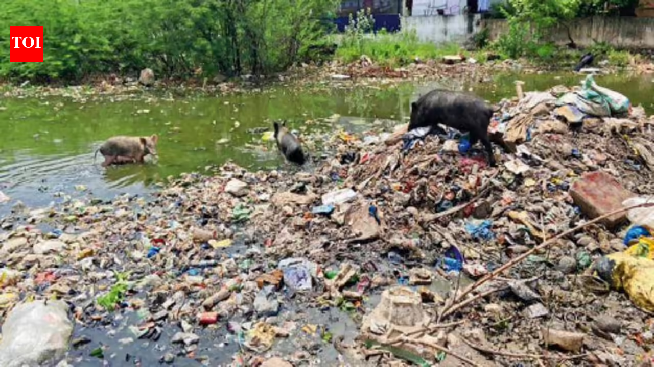 भोपाल में पानी की टंकी में ट्रंक में मिला महिला का शव; साथ रह रहे जोड़े, मां और भाई-बहन को हिरासत में लिया गया | भोपाल समाचार