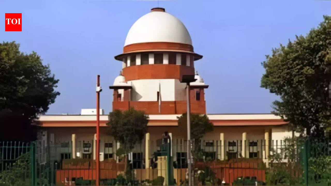 तेलुगु अभिनेत्री प्रत्युषा आत्महत्या मामला: SC ने उसके प्रेमी की सजा बरकरार रखी | भारत समाचार