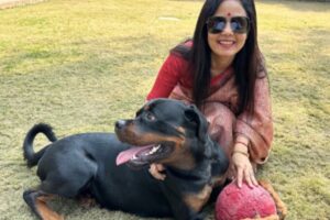 टीएमसी सांसद महुआ मोइत्रा ने पालतू रॉटवीलर ‘हेनरी’ की कस्टडी की मांग करने वाले पूर्व साथी के खिलाफ दिल्ली उच्च न्यायालय में याचिका दायर की | भारत समाचार
