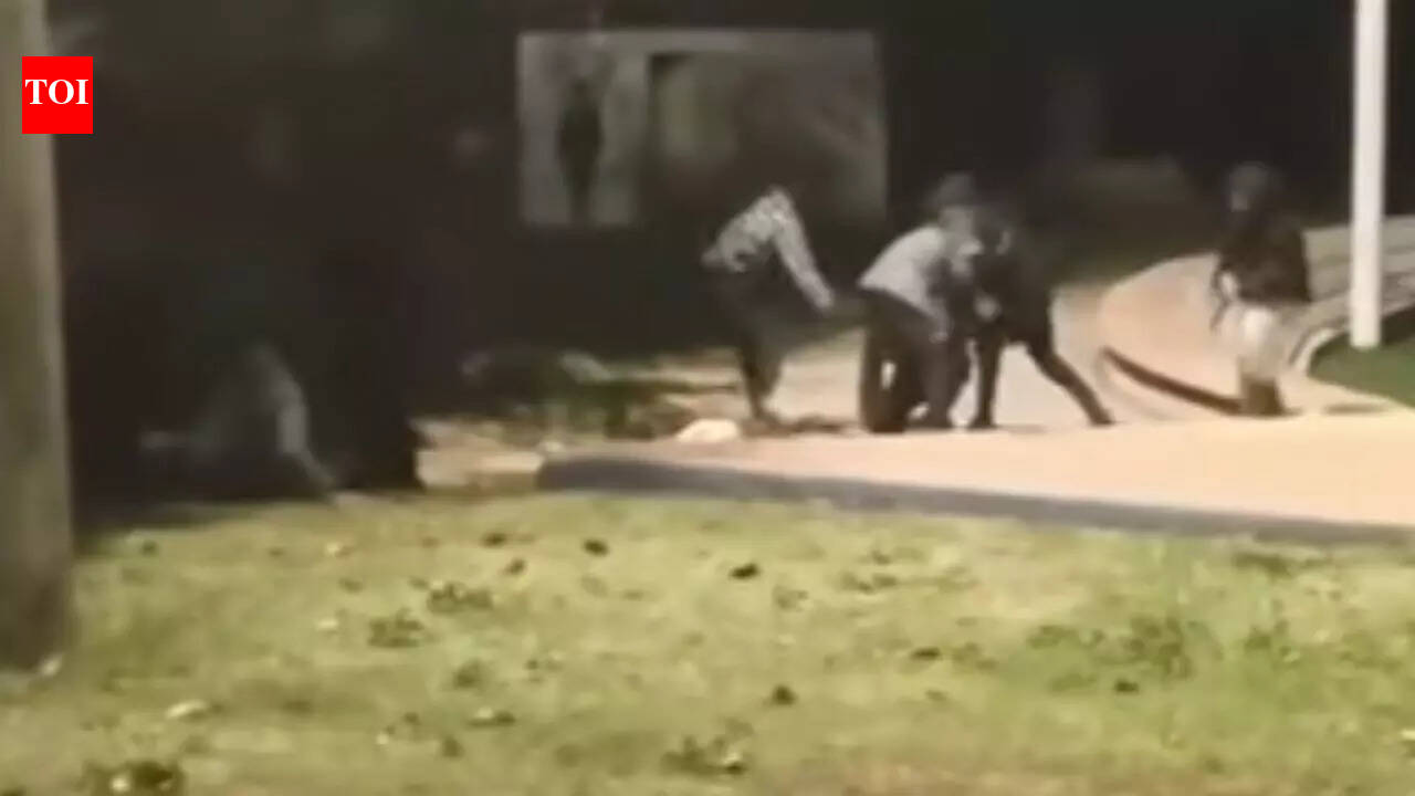 इज़राइल में भारतीयों पर हमला: अश्कलोन में दो भारतीय श्रमिकों पर ‘नस्लीय रूप से प्रेरित’ हमले की योजना व्हाट्सएप पर बनाई गई