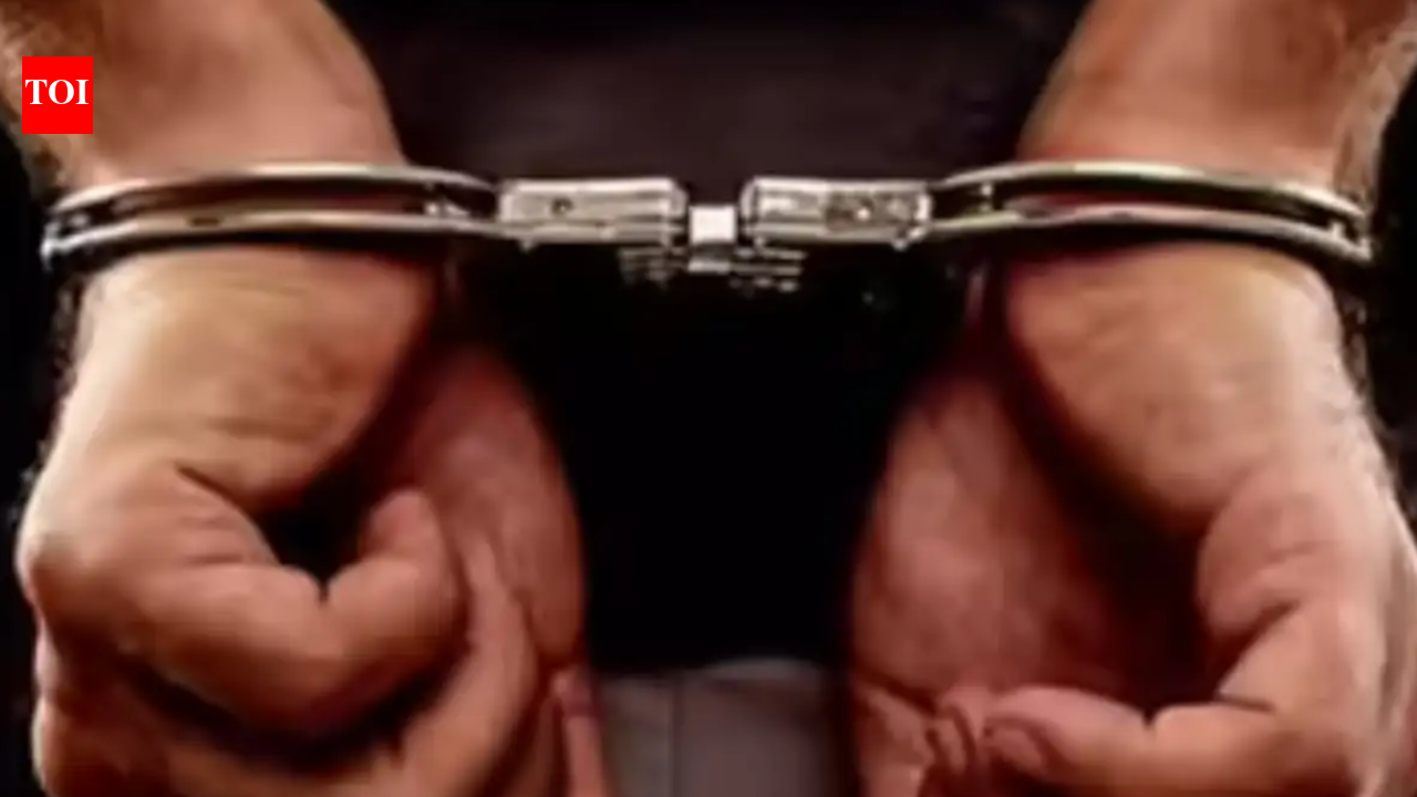 घातक दुर्घटना के लिए अमेरिका में भारतीय ट्रक चालक को हिरासत में लिया गया | भारत समाचार