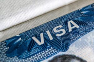 ‘भारत में रहने के लिए मजबूर किया जा रहा है…’: एमएजीए टिप्पणीकार ने एच-1बी श्रमिक वीजा को लेकर झटका बताया