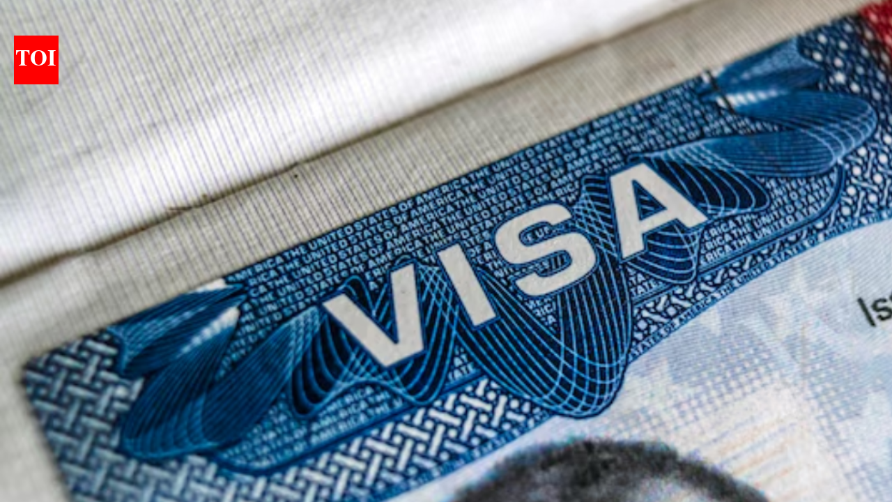 ‘भारत में रहने के लिए मजबूर किया जा रहा है…’: एमएजीए टिप्पणीकार ने एच-1बी श्रमिक वीजा को लेकर झटका बताया