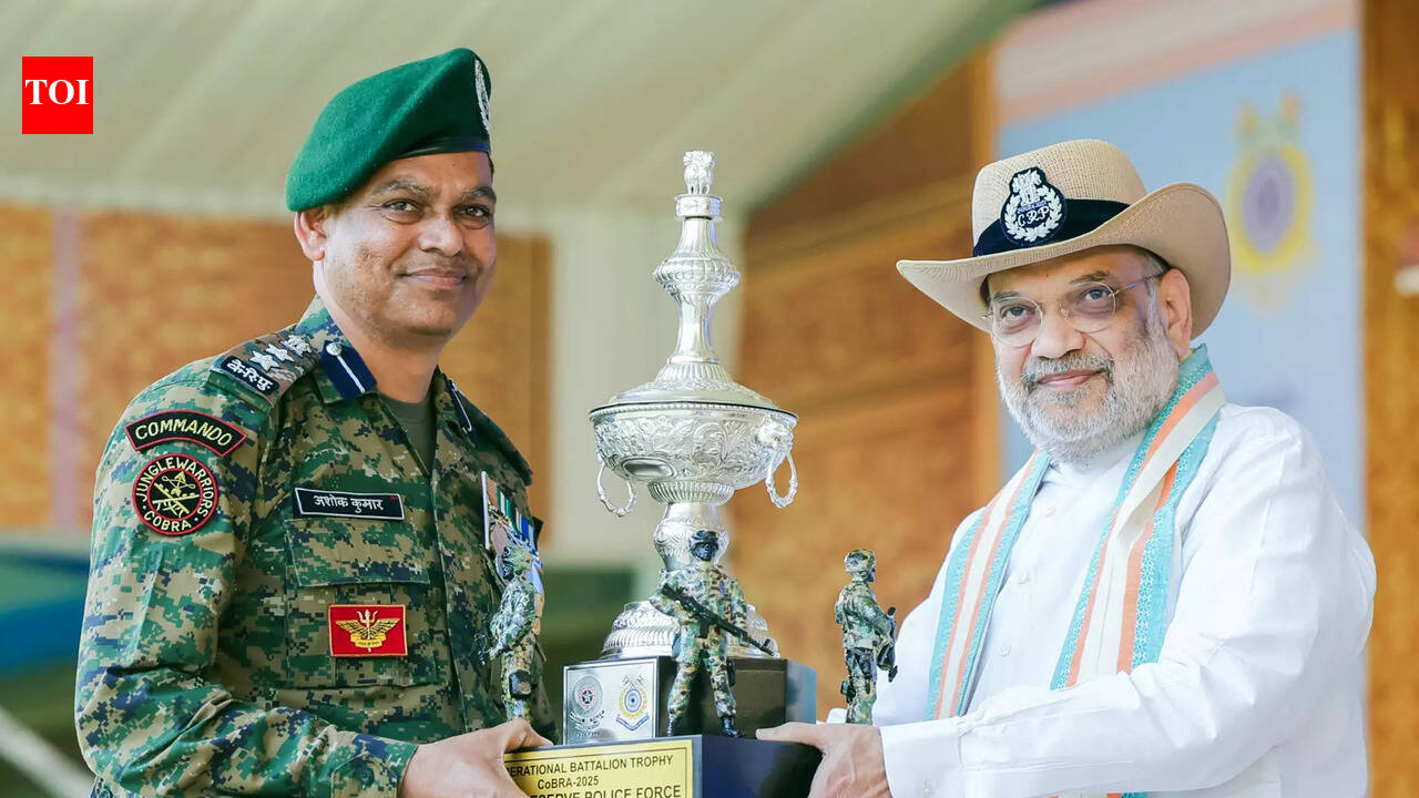 सत्ता में वापस आने पर बीजेपी 5 साल में घुसपैठियों को बाहर निकालेगी: अमित शाह | भारत समाचार