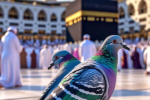 वायरल वीडियो देखें: मक्का में ज़मज़म पीने के लिए एक स्मार्ट कबूतर ने पानी के सेंसर को हैक कर लिया