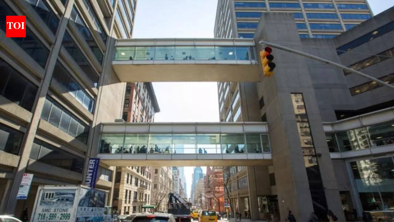 ‘वे जानने के लिए बहुत मूर्ख हैं…’: न्यूयॉर्क के प्रोफेसर की काले छात्रों के बारे में नस्लवादी टिप्पणियों के लिए आलोचना की गई