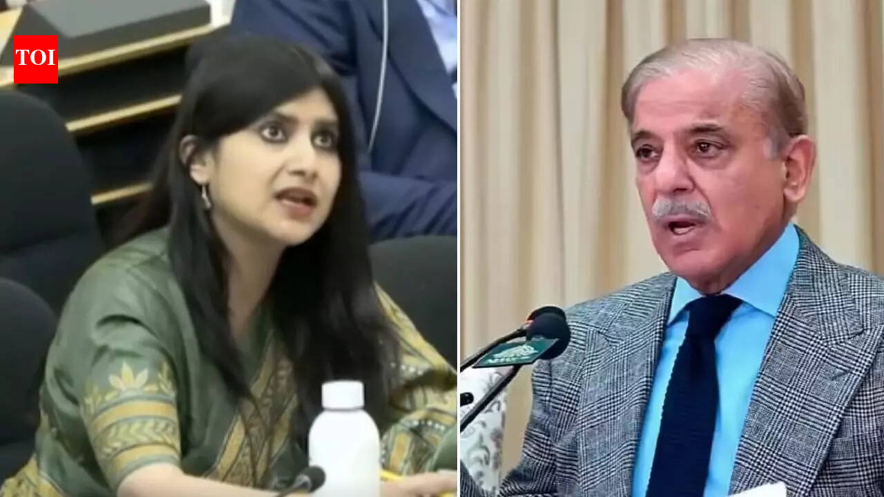 संयुक्त राष्ट्र मानवाधिकार परिषद: ‘ला-ला भूमि में रहना’: भारत ने संयुक्त राष्ट्र में पाकिस्तान के ‘लगातार प्रचार’ की आलोचना की | भारत समाचार