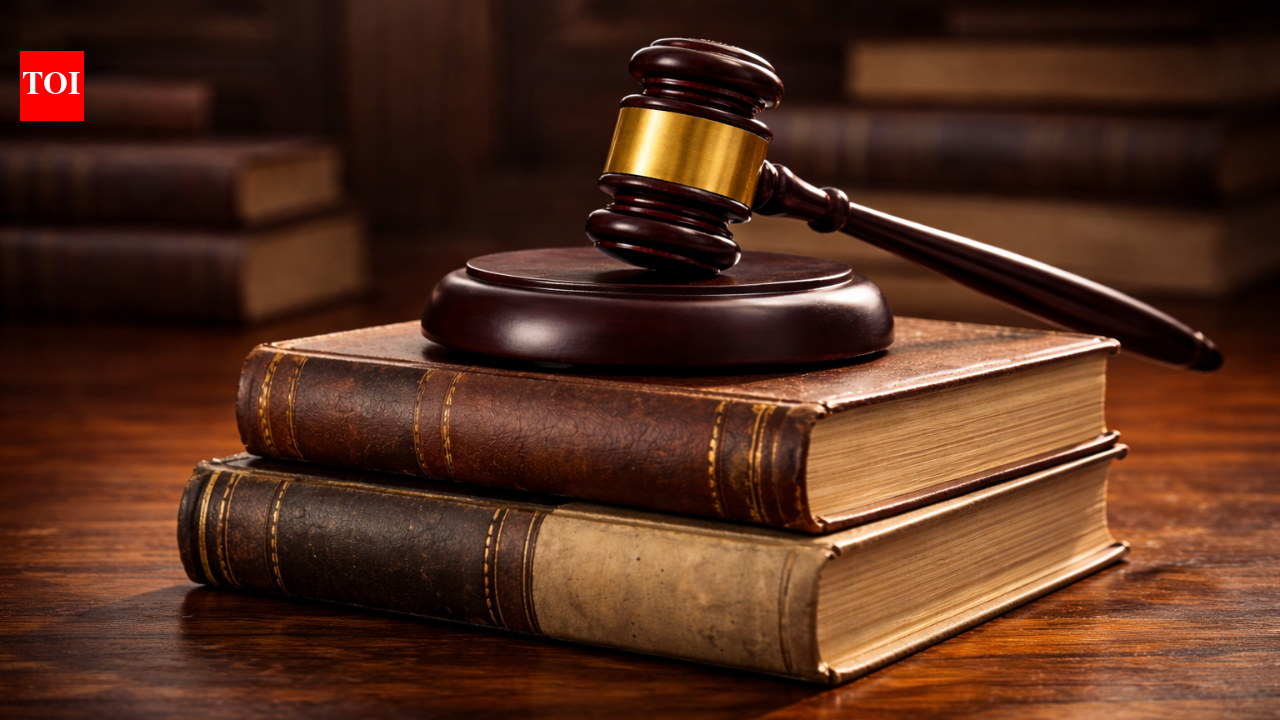 ‘उन्होंने बंदूक चलाई और न्यायपालिका का खून बह रहा है’: भ्रष्टाचार अध्याय पर एनसीईआरटी पर सुप्रीम कोर्ट की तीखी टिप्पणी: शीर्ष 10 उद्धरण | भारत समाचार