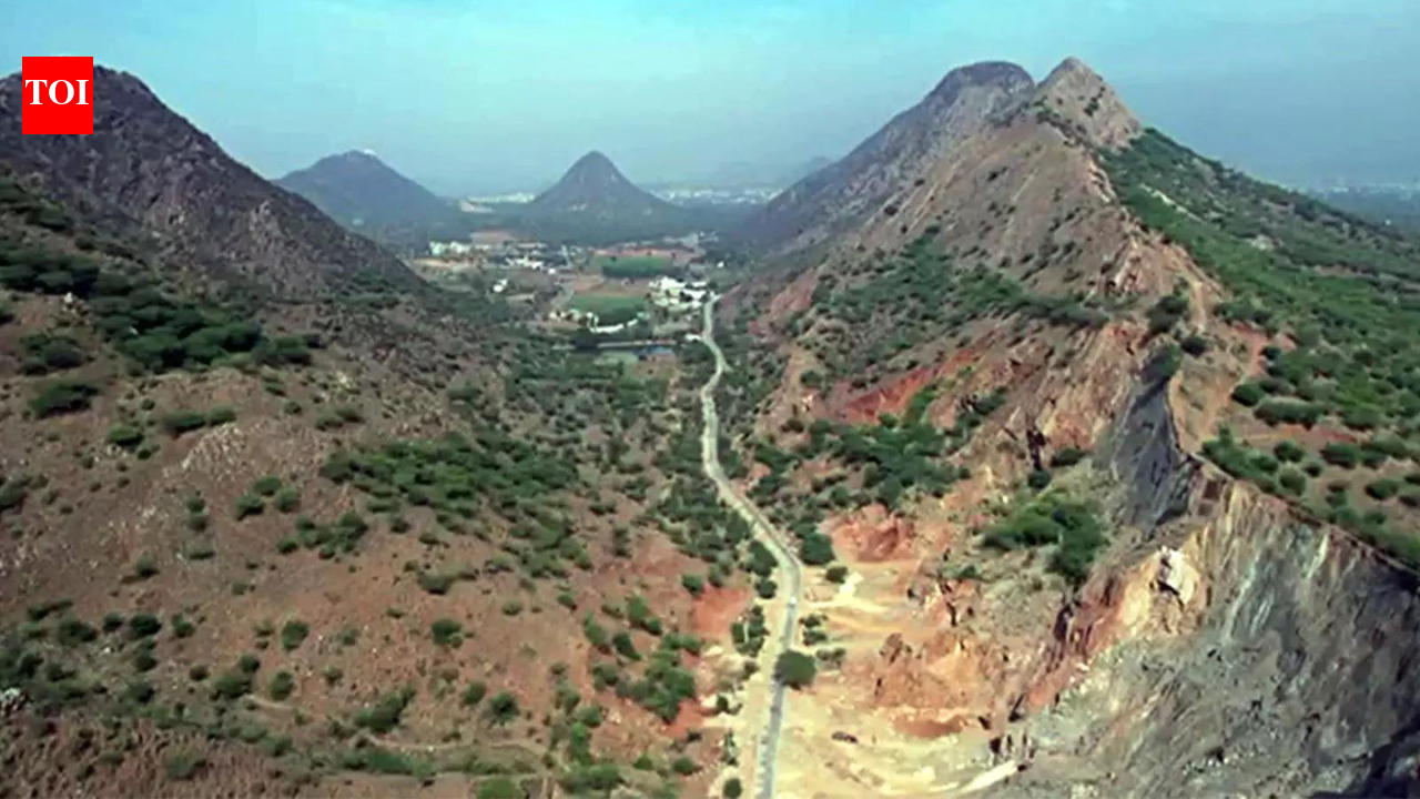 राजस्थान में अरावली को आसानी से नहीं मापा जा सकता | भारत समाचार