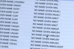 मागा: ‘पंजाबी-विशिष्ट’: एमएजीए कार्यकर्ता का दावा है कि हजारों अमेरिकी ट्रकिंग कंपनियां ‘बिना नाम’ के तहत काम करती हैं