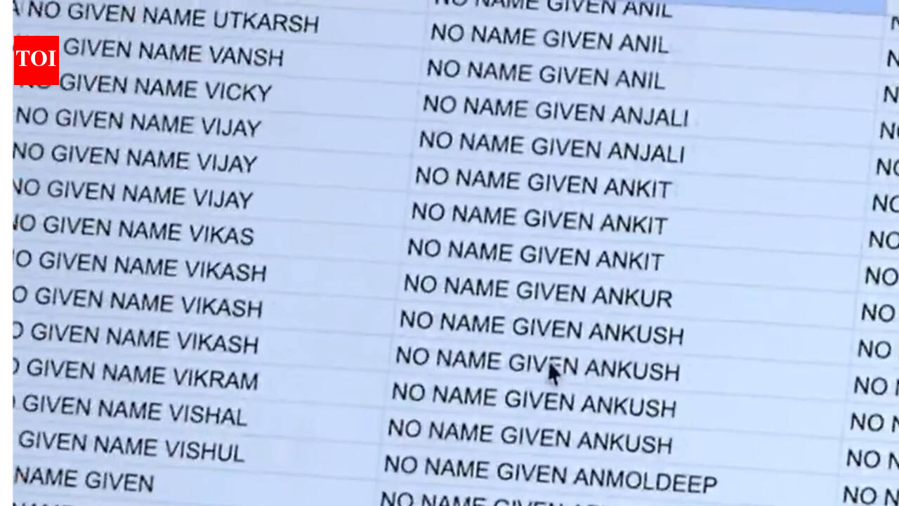 मागा: ‘पंजाबी-विशिष्ट’: एमएजीए कार्यकर्ता का दावा है कि हजारों अमेरिकी ट्रकिंग कंपनियां ‘बिना नाम’ के तहत काम करती हैं