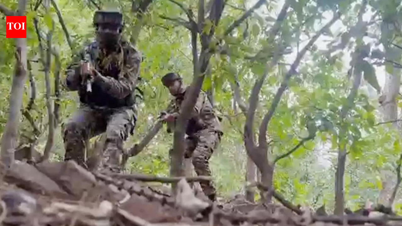 एलओसी पर सैनिकों ने ‘ड्रोन’ पर की फायरिंग; एयरड्रॉप खोजें | भारत समाचार