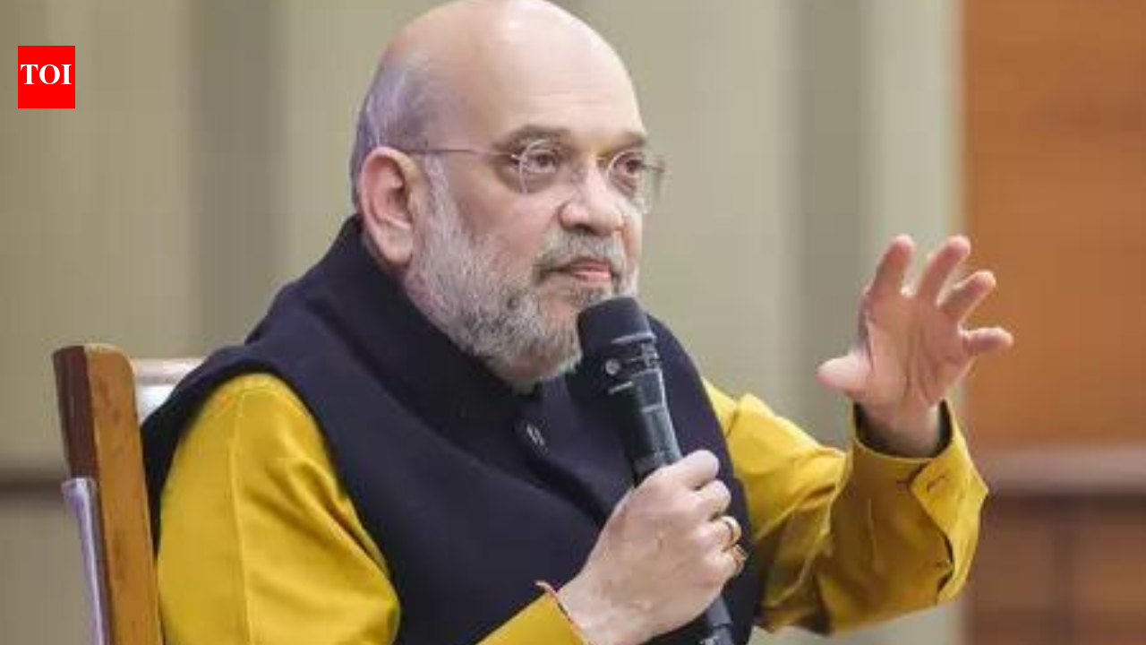 एसएम शाह ने सीमांचल में सीमा सुरक्षा की समीक्षा की; एसआईआर के बाद होने वाली सभी मौतों का सत्यापन किया जाएगा | भारत समाचार