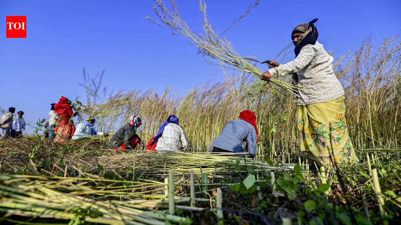 सभी के लिए अनाज: यूपी ने प्रौद्योगिकी, पोषण और मजबूत खरीद प्रणालियों के साथ खाद्य सुरक्षा को बढ़ावा दिया | भारत समाचार