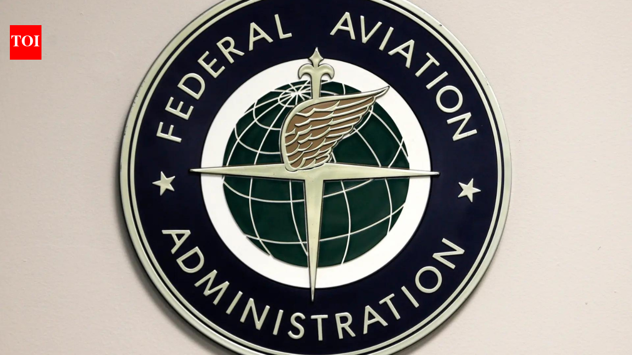 एक छोटा विमान ठंडी हडसन नदी में आपातकालीन लैंडिंग करता है और उसमें सवार दो लोग तैरकर सुरक्षित निकल आते हैं