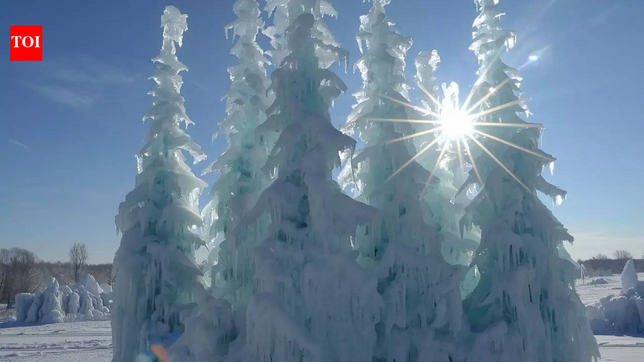 जापान के ‘बर्फ राक्षस’: ज़ाओ के जमे हुए राक्षस जो केवल हफ्तों के लिए दिखाई देते हैं और स्थानीय लोगों का कहना है कि वे धीरे-धीरे गायब हो रहे हैं | विश्व समाचार