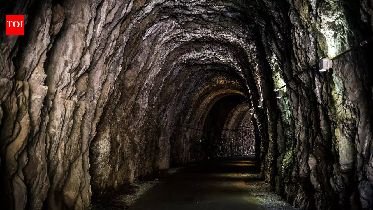 2,600 वर्षों से बंद, इटली में प्राचीन कब्र अंततः गहने, धार्मिक बर्तन और मानव अवशेषों को प्रकट करने के लिए खोली गई | विश्व समाचार