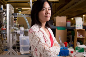 एवलिन एन. वांग से मिलें: वह वैज्ञानिक जो चाहती है कि हर घर अपना पानी खुद बनाए |