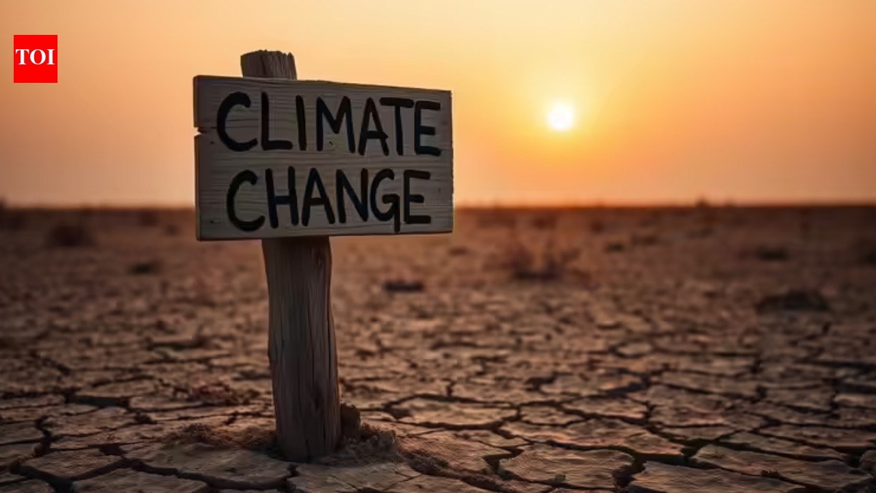 लैंसेट प्लैनेटरी हेल्थ स्टडी: वैश्विक अध्ययन में भारत की जलवायु और स्वास्थ्य रिपोर्ट पर प्रकाश डाला गया | बेंगलुरु समाचार