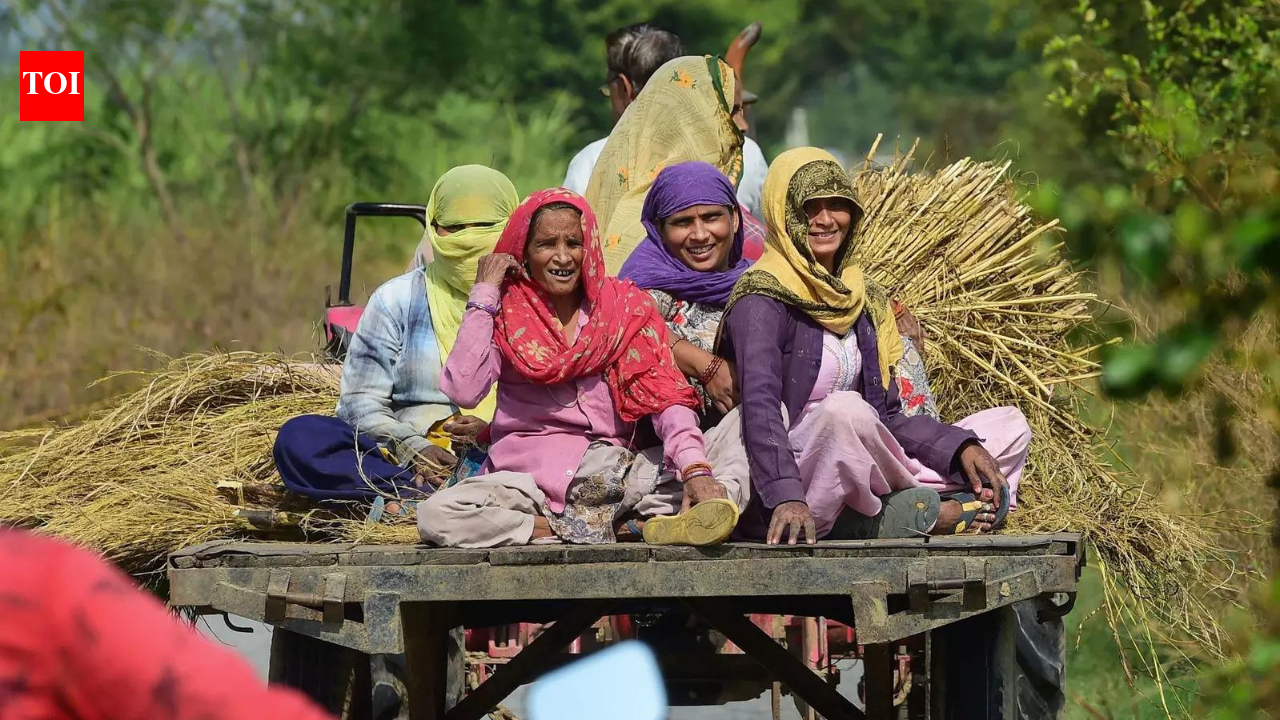 स्वयं सहायता समूहों से लेकर ड्रोन प्रौद्योगिकी तक: महिलाओं के आर्थिक सशक्तिकरण के लिए भारत का बढ़ता प्रयास | भारत समाचार