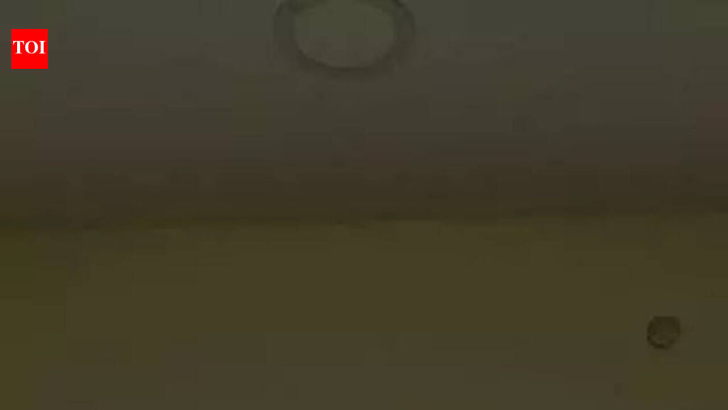 मुथलवार पदईपगम: चेन्नई में नए लॉन्च किए गए मुथलवार पदईपगम अप्रयुक्त हैं | चेन्नई समाचार