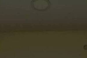 मुथलवार पदईपगम: चेन्नई में नए लॉन्च किए गए मुथलवार पदईपगम अप्रयुक्त हैं | चेन्नई समाचार