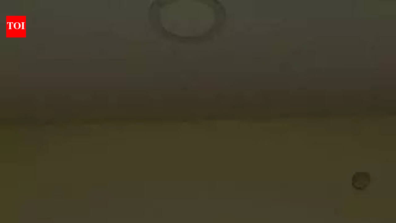 मुथलवार पदईपगम: चेन्नई में नए लॉन्च किए गए मुथलवार पदईपगम अप्रयुक्त हैं | चेन्नई समाचार