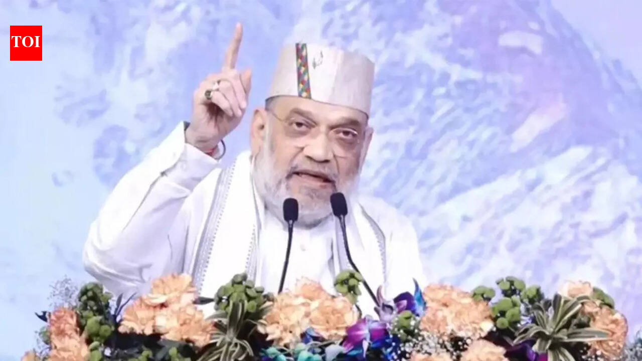 अमित शाह ने घुसपैठियों के मुद्दे को सामने लाने की कोशिशें तेज की | भारत समाचार