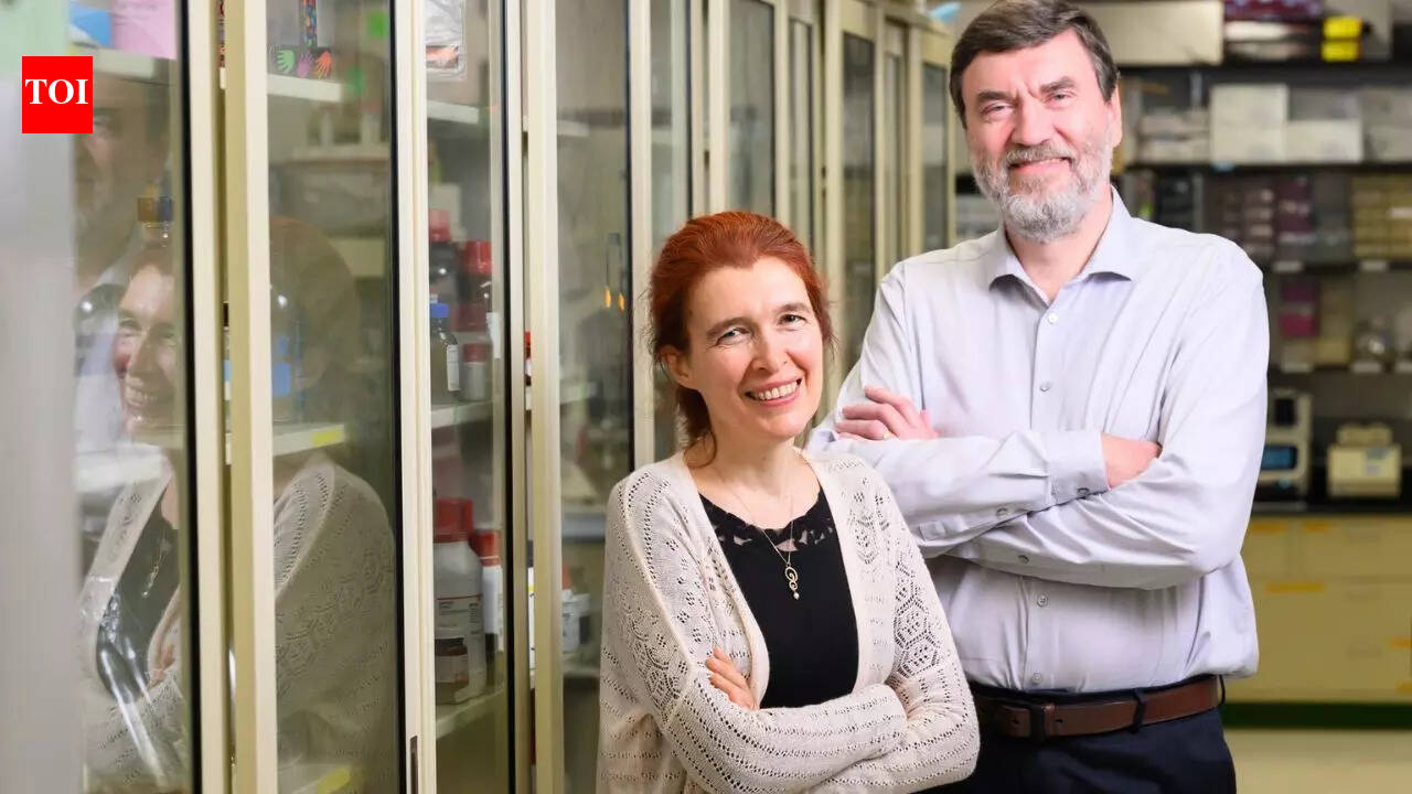 इंसान 200 साल तक जीवित रह सकता है और इसका रहस्य व्हेल में छिपा हो सकता है: अध्ययन |